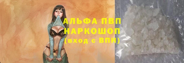 трава Коряжма