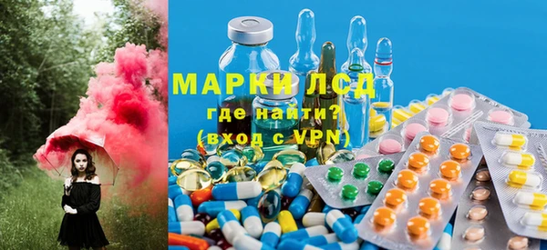 винт Лабытнанги