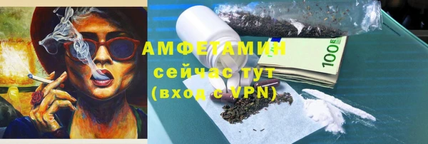 трава Коряжма