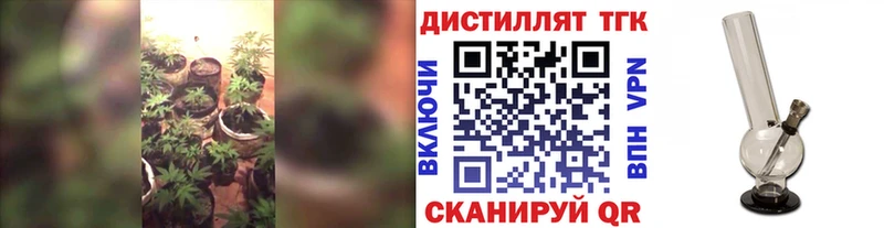 ТГК THC oil MEGA ссылка Южно-Сухокумск наркошоп