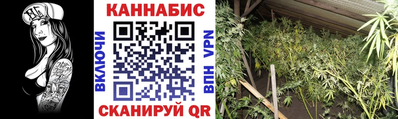 Каннабис SATIVA & INDICA  закладка  Южно-Сухокумск 
